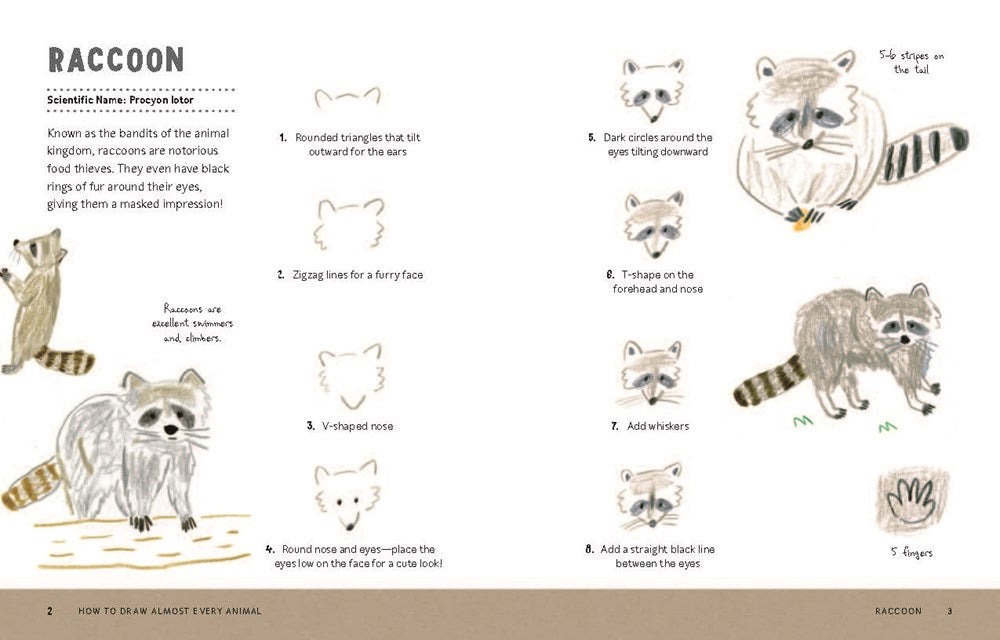 How to Draw Almost Every Animal