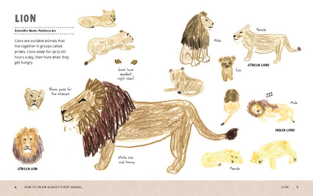 How to Draw Almost Every Animal