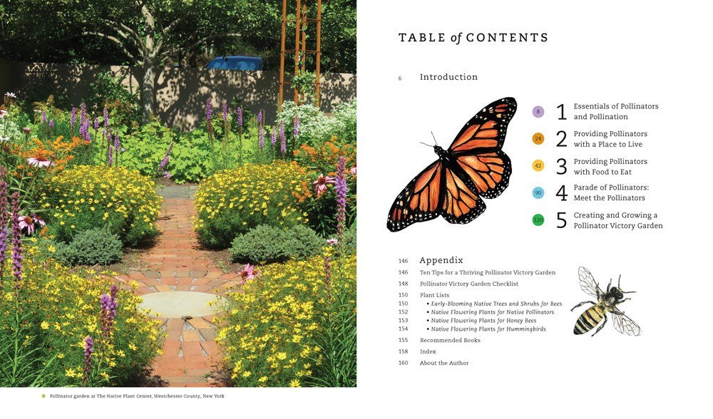 The Pollinator Victory Garden