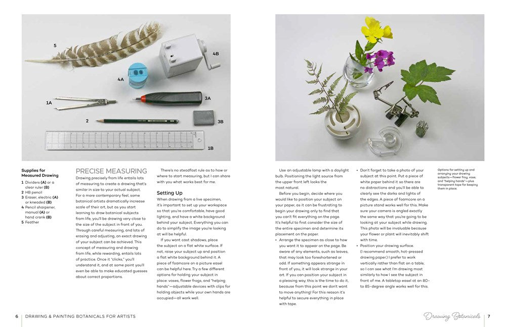 Drawing and Painting Botanicals for Artists