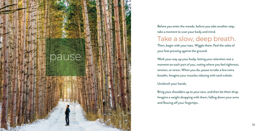 Forest Bathing Retreat