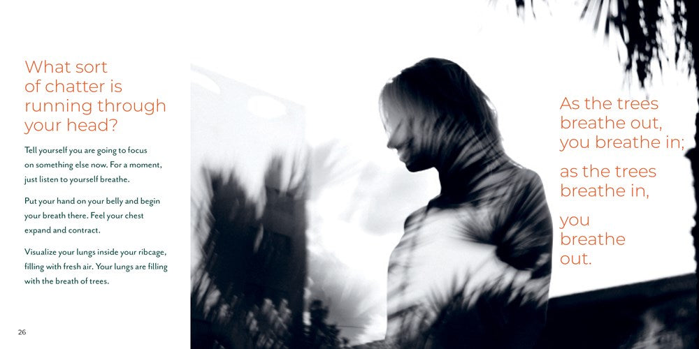 Forest Bathing Retreat