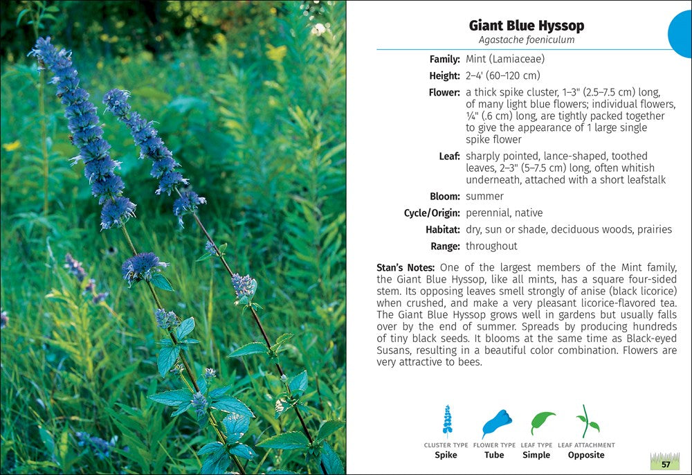 Wildflowers of Wisconsin Field Guide
