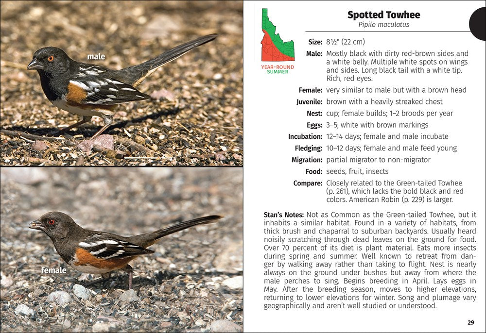 Birds of Idaho Field Guide