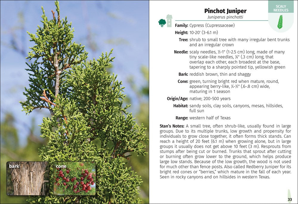 Trees of Texas Field Guide