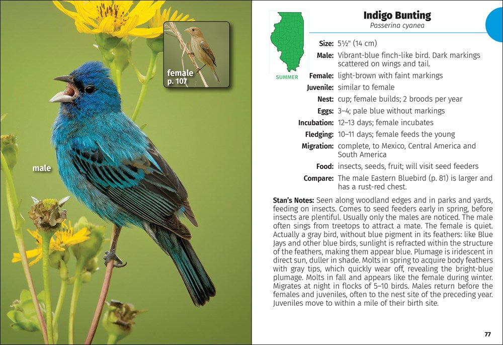 Birds of Illinois Field Guide