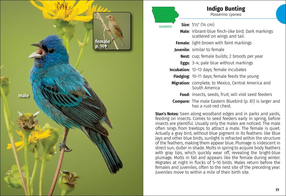 Birds of Iowa Field Guide