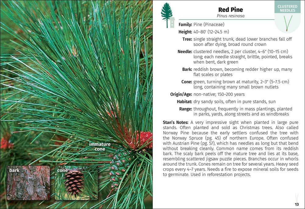 Trees of Missouri Field Guide