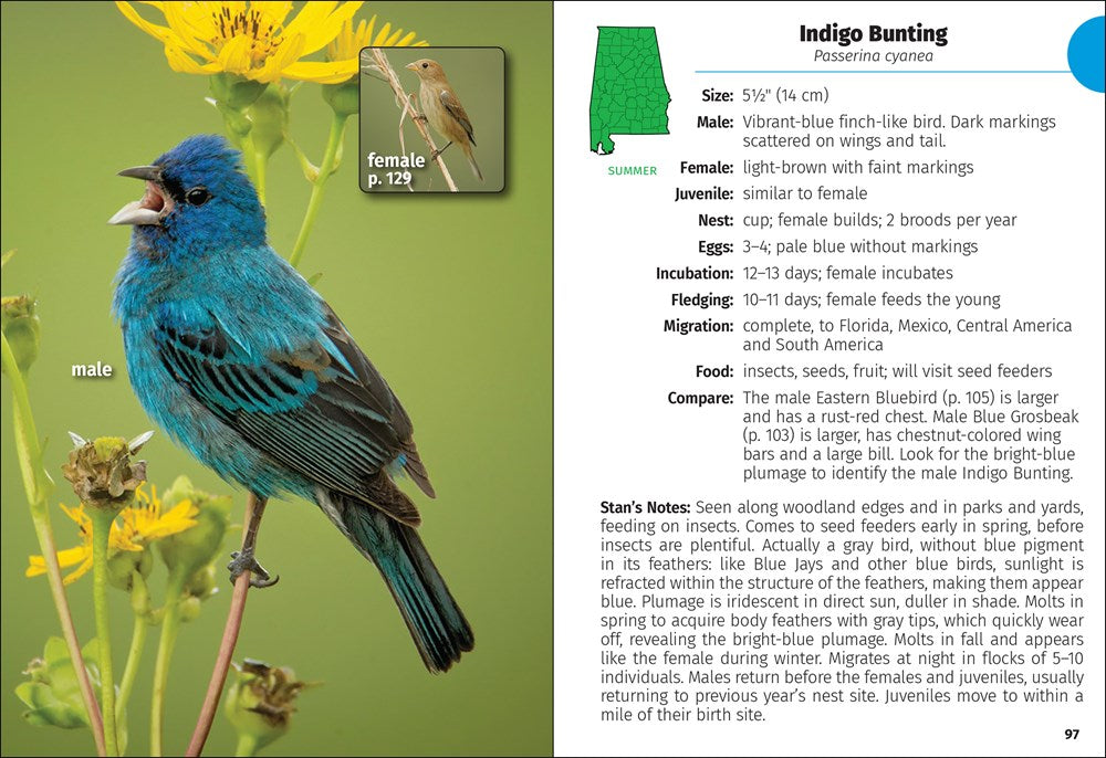 Birds of Alabama Field Guide