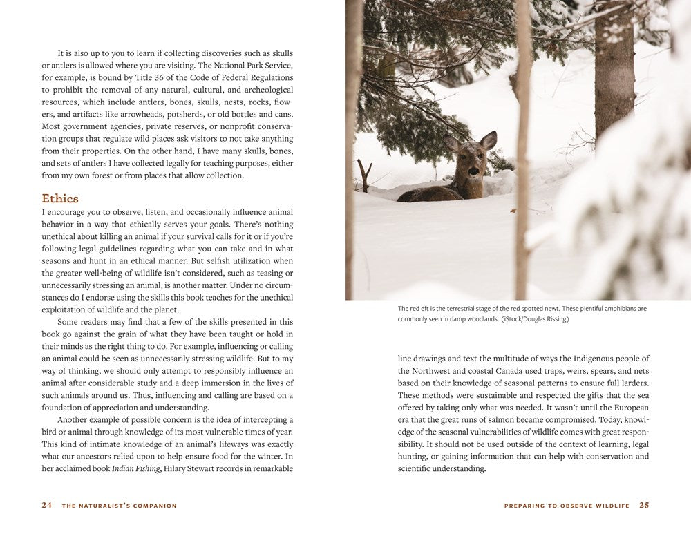 The Naturalist's Companion