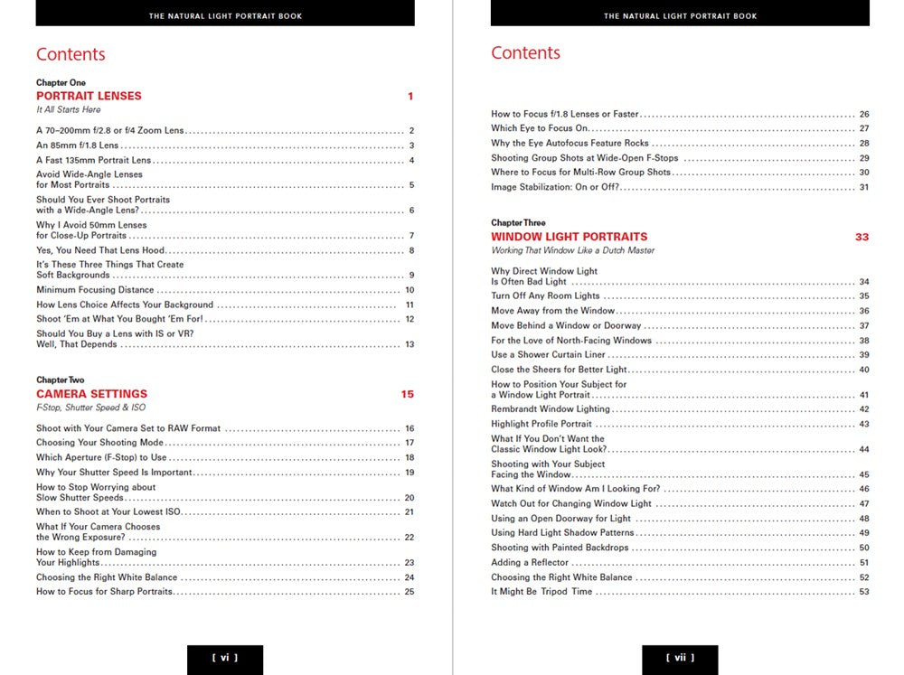 The Natural Light Portrait Book