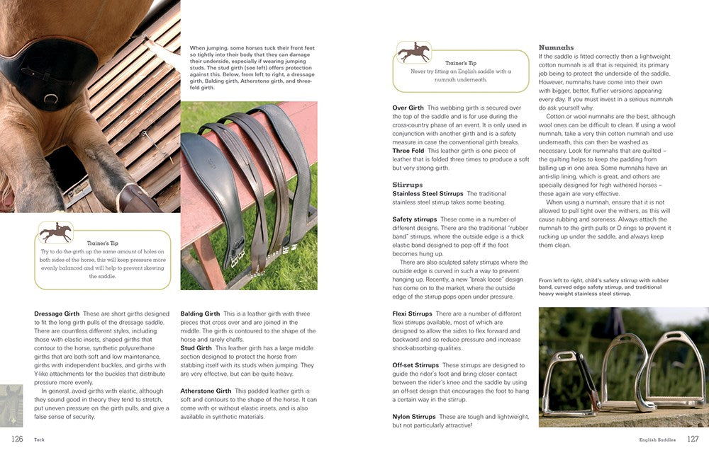 The Horse Lover's Bible