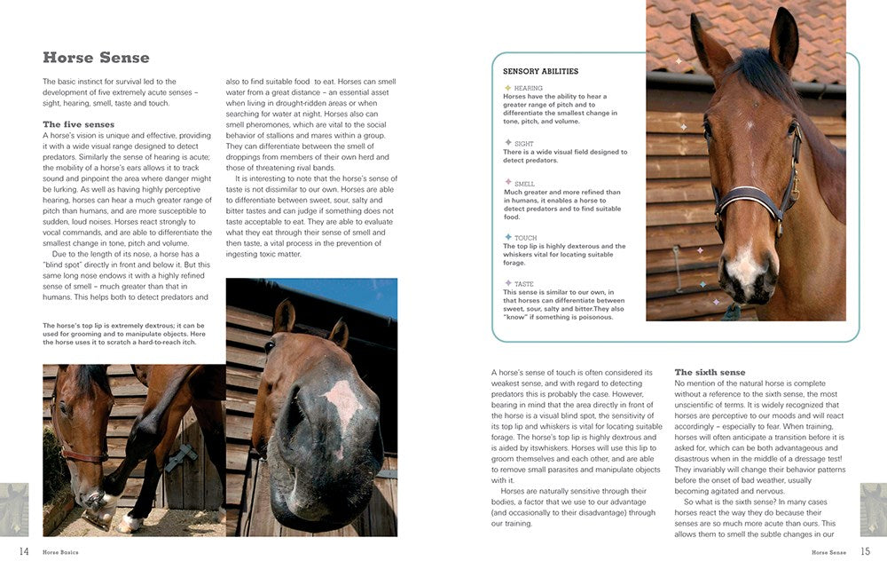 The Horse Lover's Bible