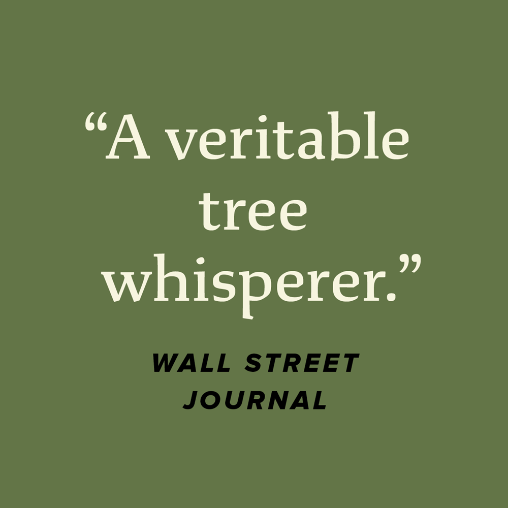 The Power of Trees