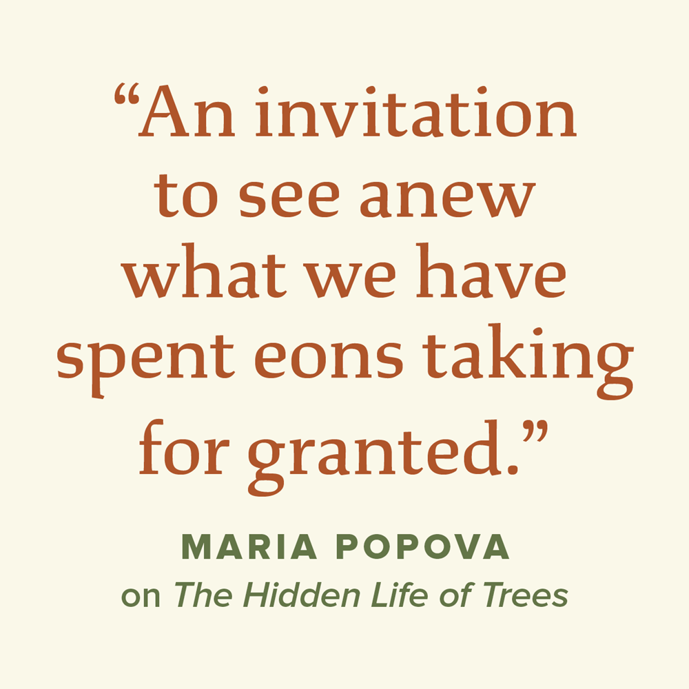 The Power of Trees