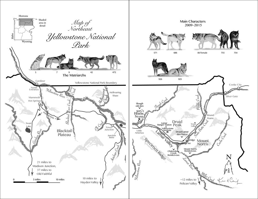 The Alpha Female Wolf