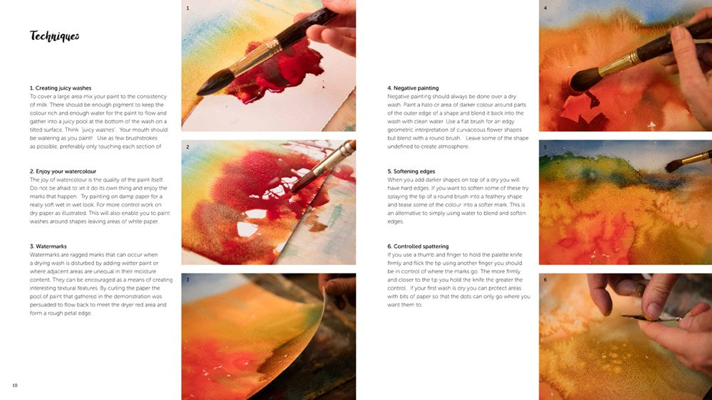 Watercolour Workshop