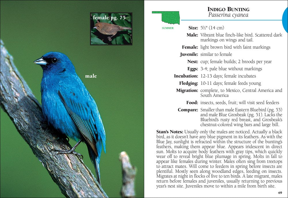 Birds of Oklahoma Field Guide