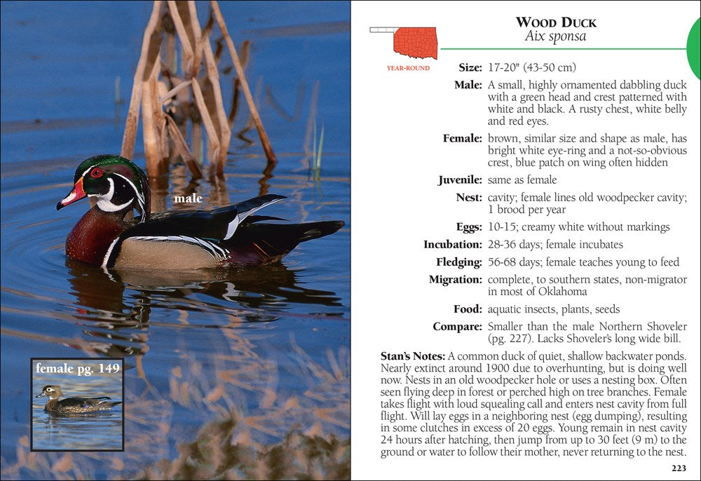Birds of Oklahoma Field Guide