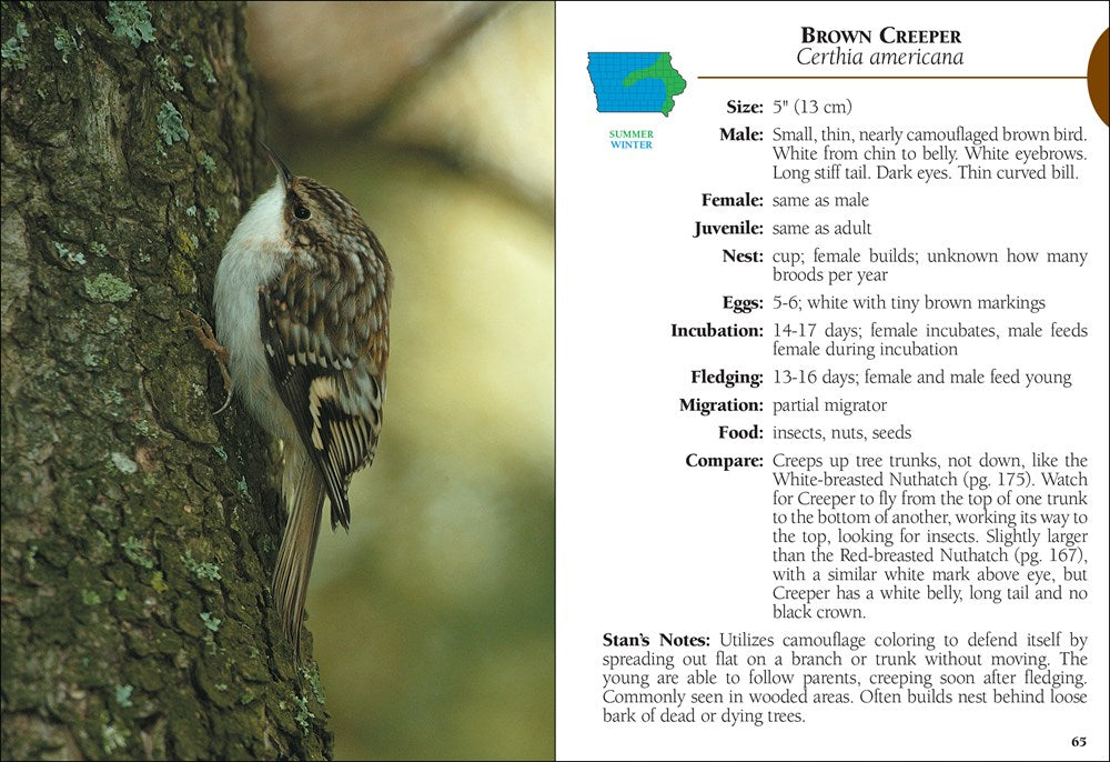 Birds of Iowa Field Guide
