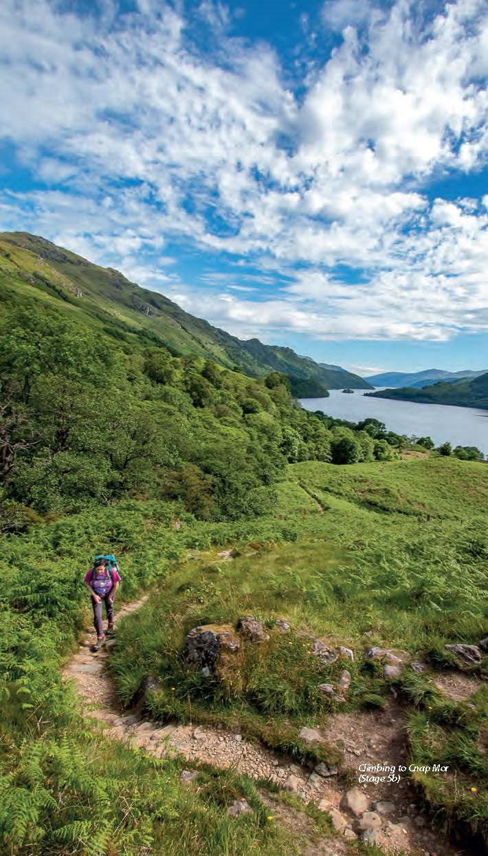 Trekking the West Highland Way