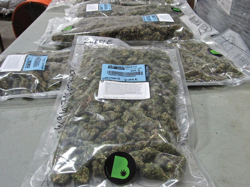 Marijuana Harvest