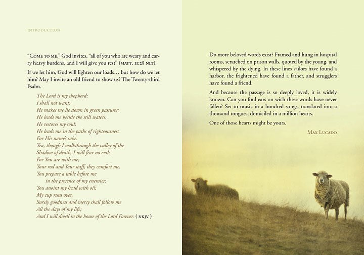 Safe in the Shepherd's Arms