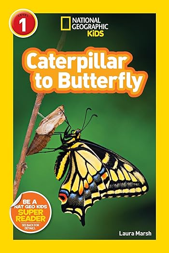 Caterpillar to Butterfly (National Geographic Kids Explore! Readers, Level 1)
