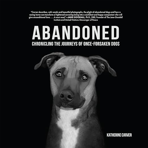 Abandoned: Chronicling the Journeys of Once-Forsaken Dogs