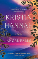 Angel Falls: A Novel