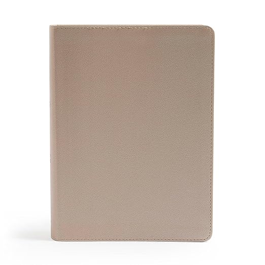 CSB She Reads Truth Bible, Champagne Gold LeatherTouch, Black Letter, Full-Color Design, Wide Margins, Journaling Space, Devotionals, Reading Plans, Single-Column, Easy-to-Read Bible Serif Type