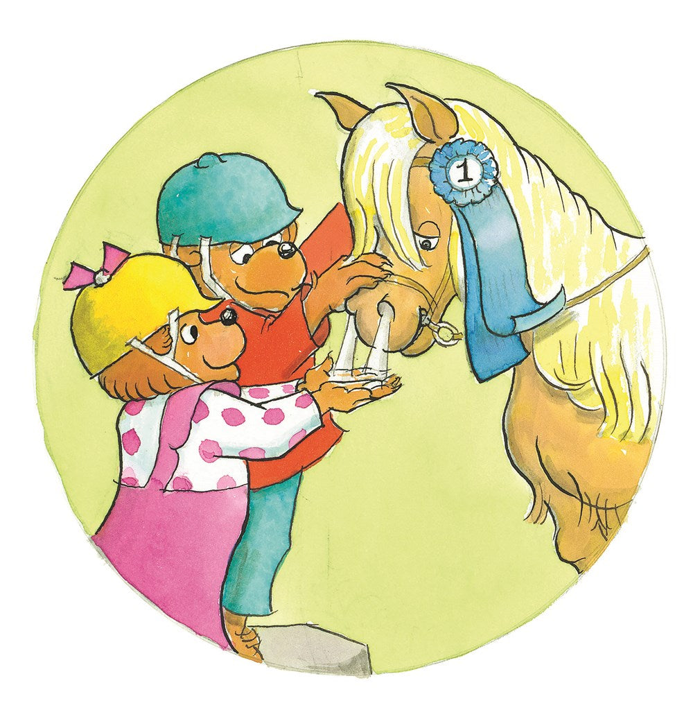 The Berenstain Bears 12-Book Phonics Fun!: Includes 12 Mini-Books Featuring Short and Long Vowel Sounds (I Can Read Phonics, 4)