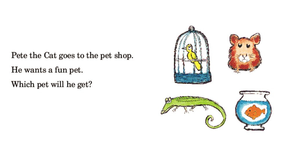 Pete the Cat 12-Book Phonics Fun!: A Box of 12 Mini-Books Featuring Short and Long Vowel Sounds - Expert-Reviewed Beginning Readers for Kids (Ages 3-6) (I Can Read Phonics Fun)