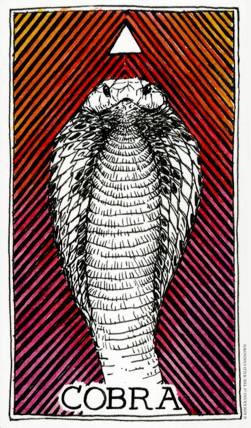 The Wild Unknown Animal Spirit Deck and Guidebook (Official Keepsake Box Set): A Breathtaking Tarot Card Box Set Featuring Oracle Deck and Guidebook