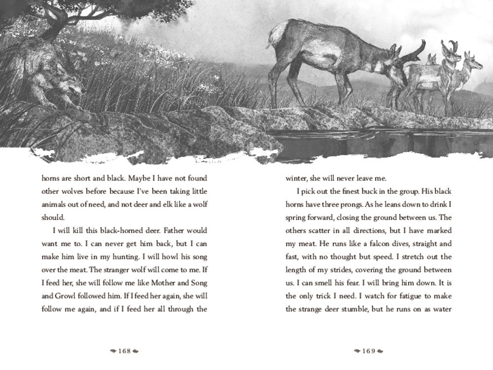 A Wolf Called Wander (A Voice of the Wilderness Novel)