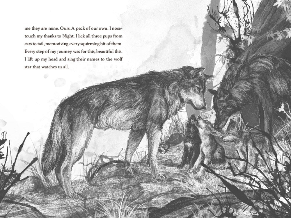 A Wolf Called Wander (A Voice of the Wilderness Novel)