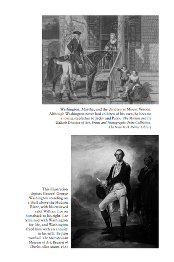 To Rescue the Constitution: George Washington and the Fragile American Experiment (The Presidential Series)