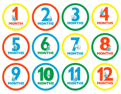 Goodnight Moon Milestone Edition: Book and Milestone Cards