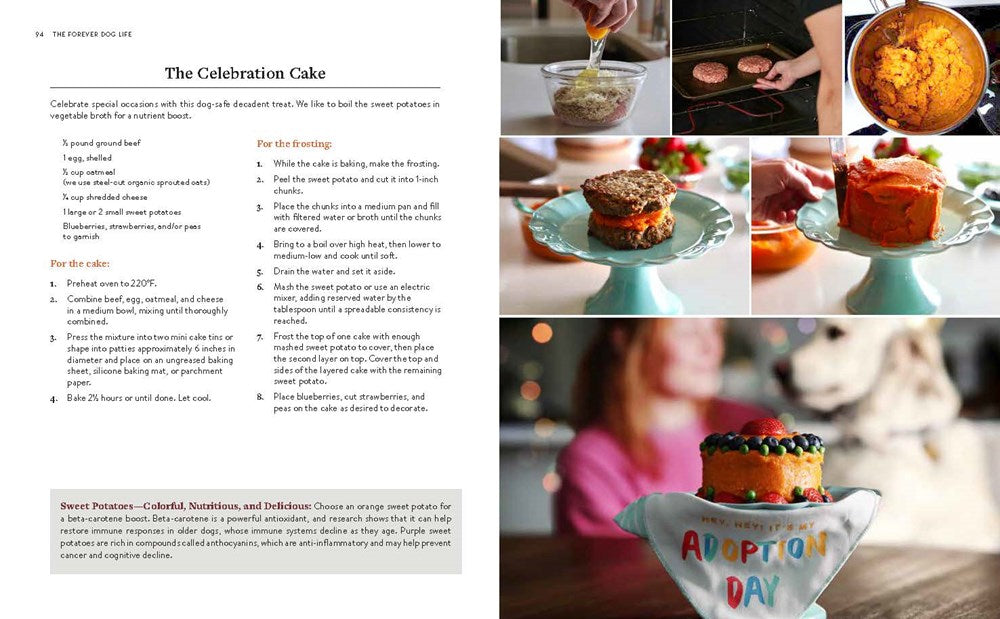 The Forever Dog Life