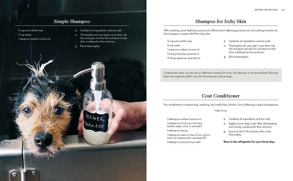 The Forever Dog Life