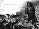 A Wolf Called Fire: The Epic Adventure of a Pack of Wolf Pups in the Wilderness―a Stand-Alone Companion to the New York Times Bestselling A Wolf Called Wander