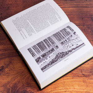 The Hobbit Deluxe Illustrated by the Author: Special Edition (Tolkien Illustrated Editions)