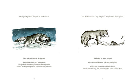 The Dog Who Followed the Moon: A Beautifully Illustrated Adult Fable