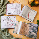 The Hobbit & The Lord of the Rings Illustrated by Alan Lee Box Set: Illustrated by Alan Lee