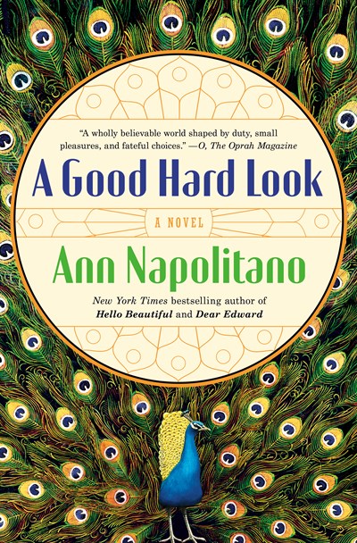 A Good Hard Look: A Novel