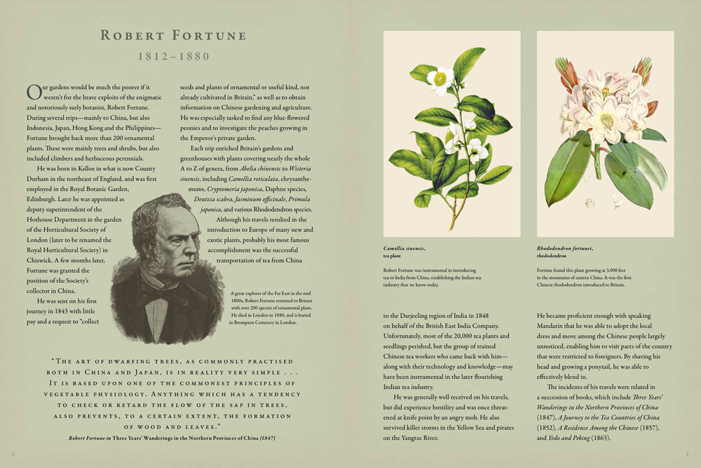 Practical Botany for Gardeners