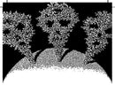 A Planet of Viruses