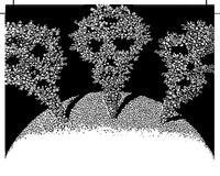 A Planet of Viruses