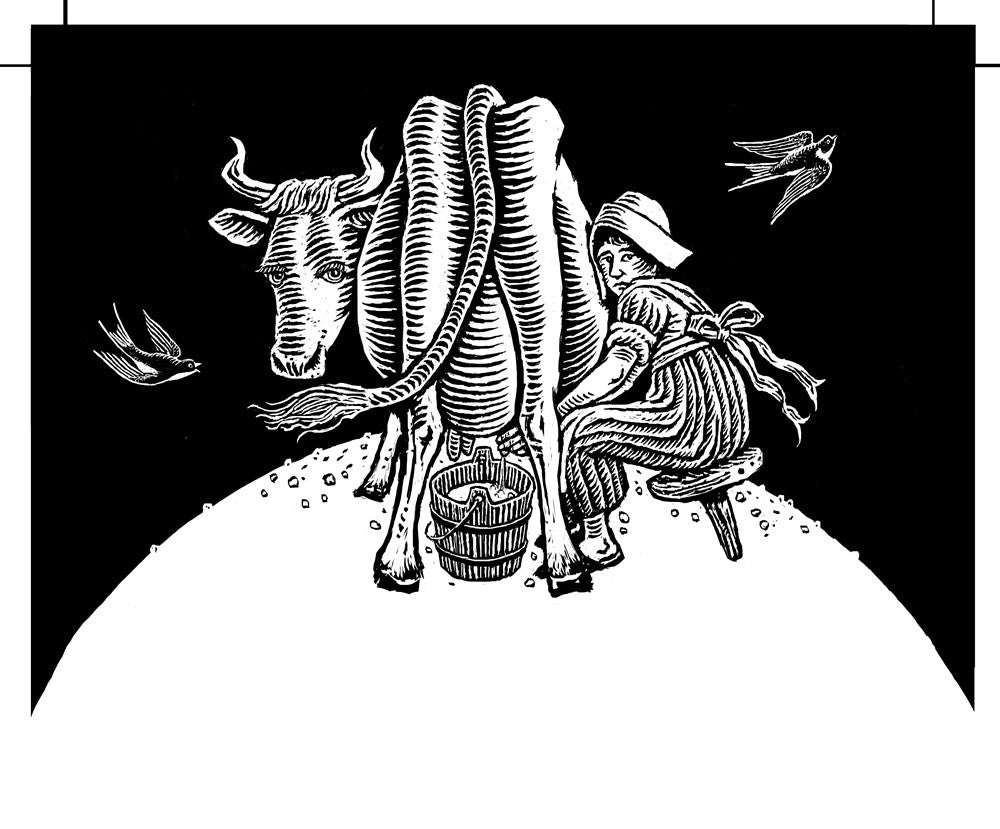 A Planet of Viruses