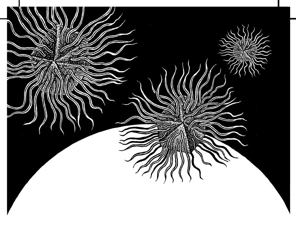 A Planet of Viruses